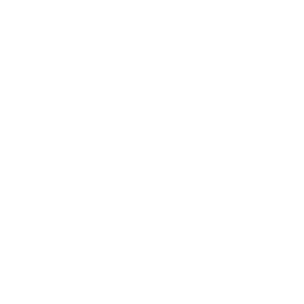 Define Your Wellness